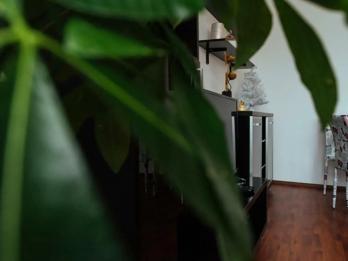 Cantemir Sunny Apartment Bukarest